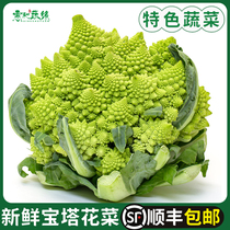 Pagoda cauliflower fresh vegetables Roman broccoli Western food restaurant special ingredients with leaves SF