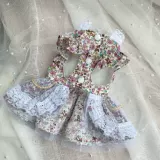 Собака лето маленькая собачья одежда для домашних животных бишон медведь плюшевая кошка