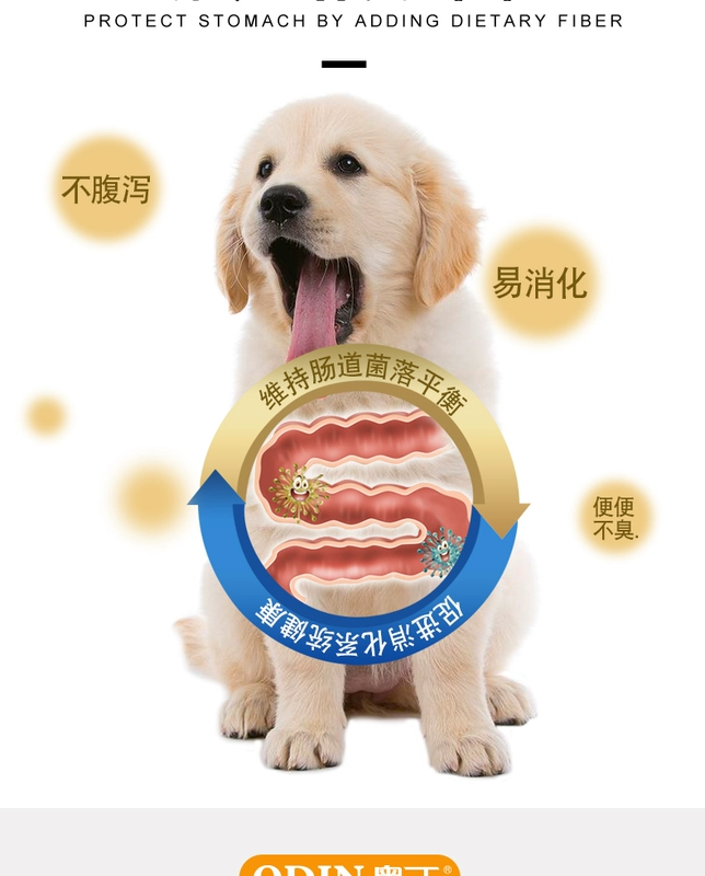 Thức ăn cho chó Odin 5 kg Nhà hàng phương Tây Teddy Bear Golden Retriever nhỏ lớn chó con chó con bánh sữa phổ quát 2,5kg - Chó Staples