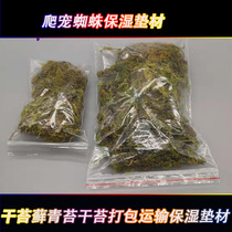 Spider moisturizing mat dry Moss Moss Moss crawling pet moisturizing mat packing transport moisturizing Moss
