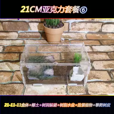 Reptile feeding box acrylic feeding box 21CM crawl box Spider centipede scorpion crawl box feeding box