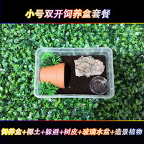 Spider feeding box feeding box Spider feeding package double opening feeding box large medium and small feeding box