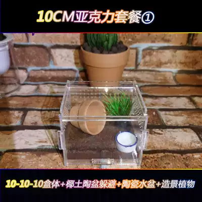 Acrylic feeding box reptile breeding box crawling pet feeding box Spider centipede scorpion crawl breeding landscape set high penetration