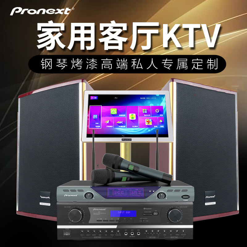 Audio Pioneer Family KTV Sound Set Meeting Household Karaoke Bluetooth Point Singer Microphone speaker