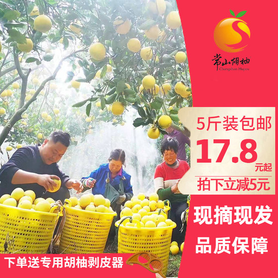 2023 spot Changshan Huyou 5Jin [Jin equals 0.5kg] net weight fresh fruit seasonal whole box specialty grapefruit grapefruit orchard