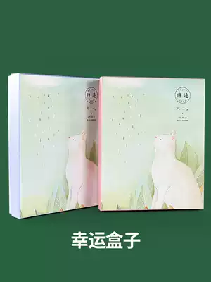 Value-added Sifang partner lucky bag book Lucky box Student stationery girl heart hand account blind box Two-dimensional b station loose-leaf book Sifang stationery tape lucky bag model small fresh thick notebook