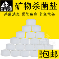  Bactericidal salt ball fish tank ornamental golden koi freshwater fish special mineral disinfectant salt potion family