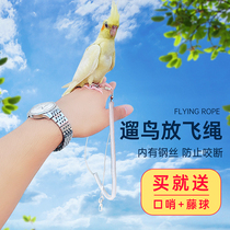 Parrot flying rope Training rope Bird rope Traction rope Walking bird rope Flying rope Bird with ultra-light anklet anklet ring