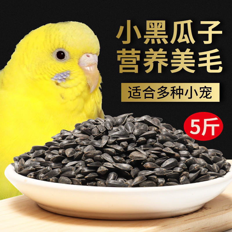 Black pearl small melon seeds black melon seed oil sunflower seed parrot bird food hamster with zero food and bird grain dove five catties