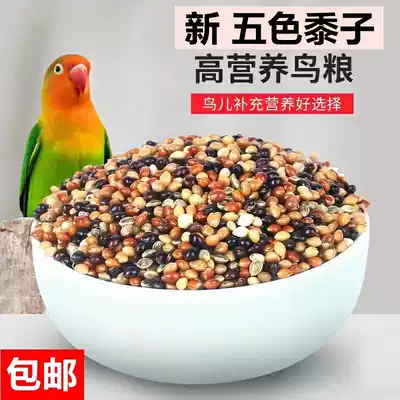 Tiger skin parrot feed bird food Xuanfeng millet peony grain green bird millet mixed bird grain 5kg