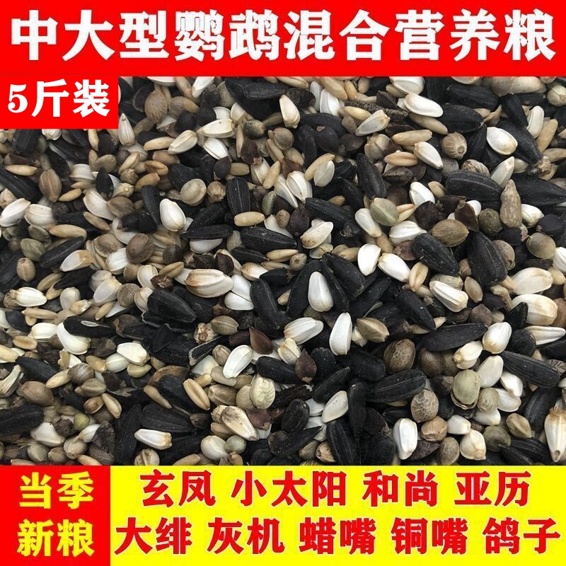 Medium Large Parrot Mixed Nutrition Grain XUANFENG SUB-CALENDAR GREY PARROT FEED BIRD FOOD PIGEON FOOD PIGEON FOOD 5 CATTY