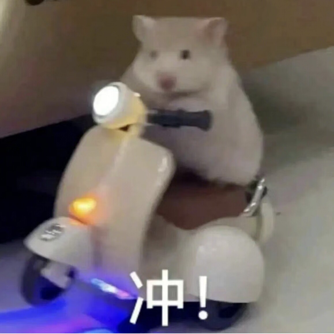 为家充电地毯毯