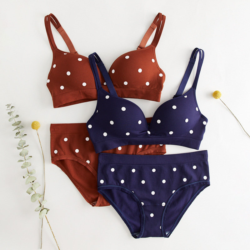 Summer style bra Underpants suit Female Cute Wave Dot to gather small breasted bra without steel ring thin glossy glossy lingerie