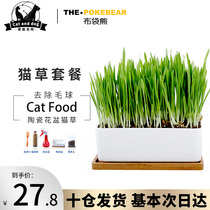 Mongolian emblem-ceramic flowerpot planting natural barley cat grass set cat grass seed spit hair ball cat snack