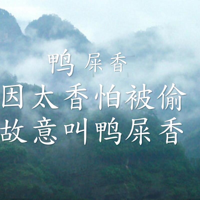 [Tea That Can Be Cold-Brewed] 2026 Premium Spring Tea Phoenix Dancong Duck  Fragrance Honey Orchid Fragrance Almond Fragrance