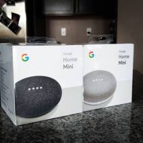 Spot Google Google Home Mini voice assistant smart Bluetooth speaker