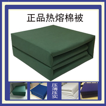Winter quilt quilt quilt cotton hot melt cotton warm single folding tofu block student housekeeping mattress