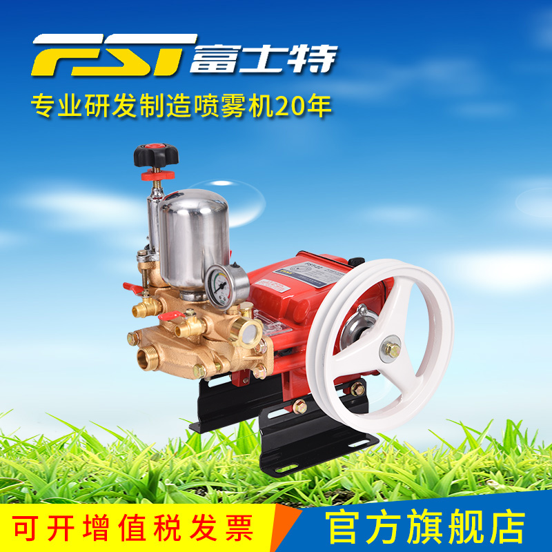Fujit FST-22 agricultural motorized sprayer plunger pump garden fruit tree sprayer high pressure self-priming pump