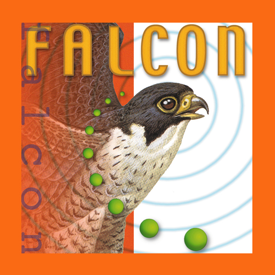 Israeli synel access control software falcon pro Falcon software falcon