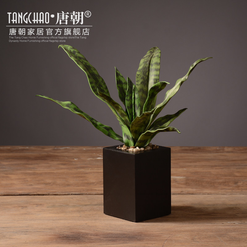 �Ƴ�ŷ���ڼ�