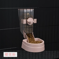 Порошок вишни вишневой подачи [емкость составляет около 500 г суровых]