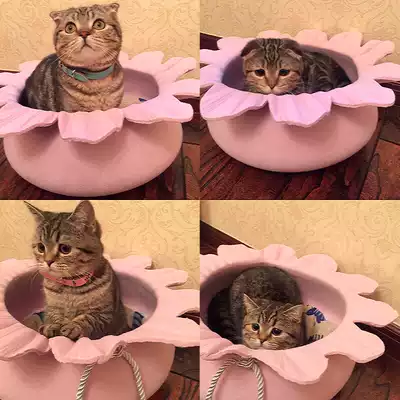 Cat's nest four seasons universal winter warm cat bed cat house felt cute princess bed pet nest cat dog kennel