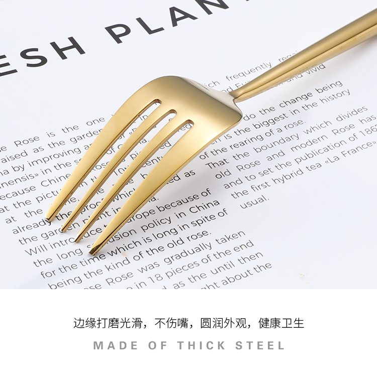 Bộ nĩa và muỗng phong cách châu Âu tươi sáng Bộ dao bít tết bằng thép không gỉ 304 và nĩa hai bộ đồ ăn dày tay cầm cao cấp - Đồ ăn tối khay đựng đồ ăn dặm cho bé