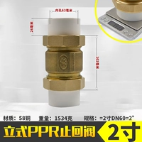 PPR Living Copper Stand -Установка клапан 63*63