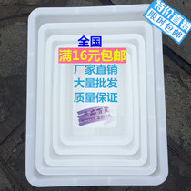 White storage box plastic ice tray rectangular small box crisper box without cover Ice Box ice basin food box