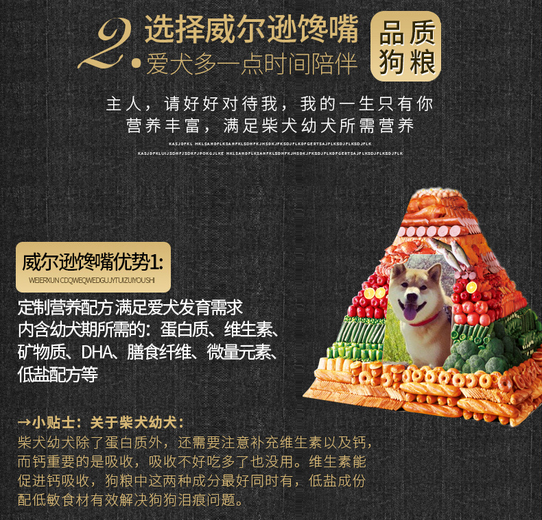 Wilson cười toe toét Nhật Bản Shiba Inu thức ăn cho chó con chó con chó trưởng thành Trung Quốc chó vườn thực phẩm đặc biệt 5 kg thức ăn cho chó Akita - Chó Staples royal canin cho chó