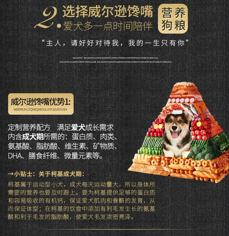 Thức ăn cho chó Keji dành cho người lớn để nước mắt đẹp lông mông Keji thức ăn cho chó Keji chó trưởng thành 30 kg chó Keji thức ăn đặc biệt cho chó - Chó Staples thức ăn cho chó pedigree