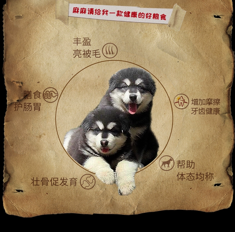 Thức ăn cho chó Alaska dành cho chó lớn Trung bình thức ăn tự nhiên đặc biệt 10 kg Lông đẹp đến nước mắt thịt bò - Chó Staples