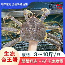 King crab fresh and frozen extra large 3-10 pounds only imported seafood and aquatic products long-legged king crab chilled large crab