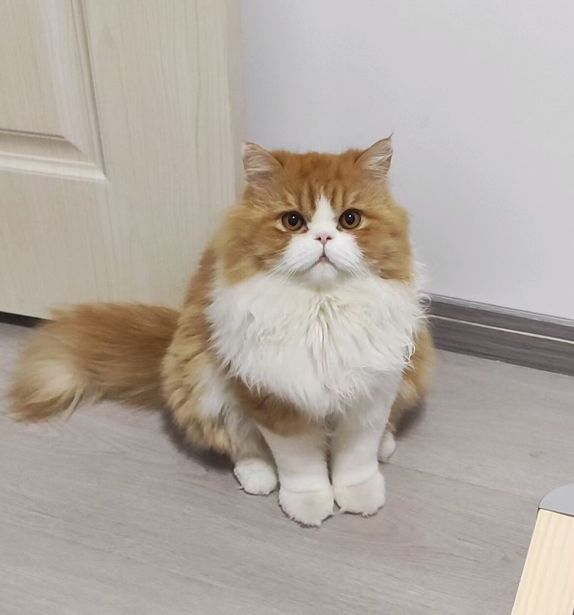 初钰新饰界