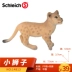 Sile Schleich Đồ chơi mô hình động vật hoang dã Sư tử đực 14812 Nữ 14825 Nhỏ 14813 - Đồ chơi gia đình Đồ chơi gia đình