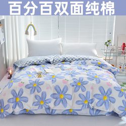 Hengyuanxiang 100% 풀 코튼 퀼트 커버 싱글 피스 150x200x230 더블 순수면 퀼트 커버 싱글 인 1.5m1.8 미터 침대