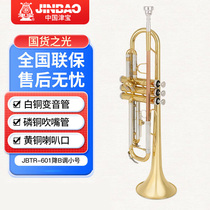 Zingbao trumpet instrument JBTR-601 300410 descent B Beginology Students Playing Corgrade Lacquer Blow Pipe Musical Instrument