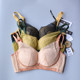June Rose Underwear 6352 Wireless Medium Thin BC Cup Comfortable Push-Up Supporting Secondary Breast Adjustable Bra for Women