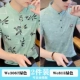 We3067 Green+We815 Green