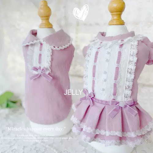 Желе желе дома фиолетовая кошка собака вручную индивидуально