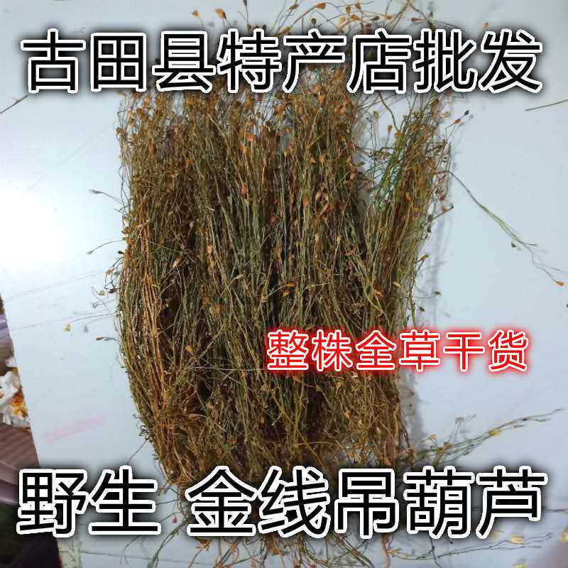 Natural green grass gold thread hanging gourd blue flower ginseng ginseng fine leaf sand with whole grass dried goods 250g