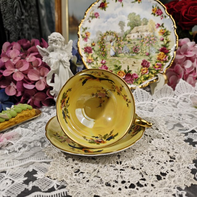 Western antique bayreuth German porcelain pearlescent glaze Chelsea rich bird gilt hard porcelain black tea cup and saucer in stock
