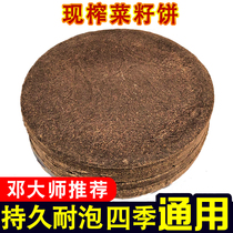 Rapeseed cake nest material fishing bait overnight nest pure rapeseed cake wild fishing bottom nest oily rapeseed cake oil cake fertilizer