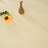 1.0 Модель C304 [реальная долговечность]