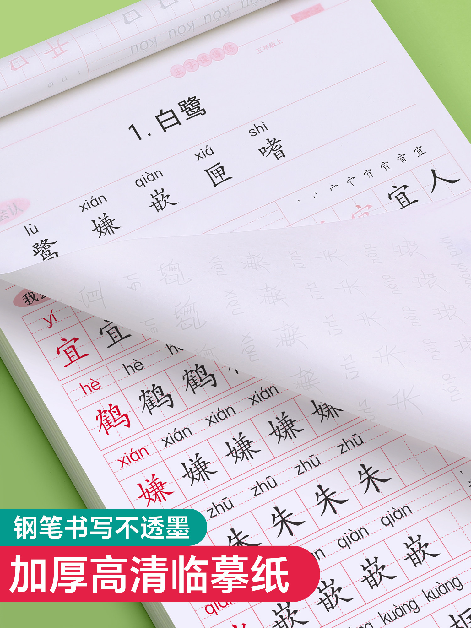 Fifth Grade First and Second Semester Textbooks Synchronized with the People's Education Press Edition, Elementary School Students' Handwriting Practice Book, Stroke Order, English Daily Practice, Special Calligraphy Practice Book for Regular Script, 21-Day Handwriting Practice Book, Character Practice Book, Regular Script, Fountain Pen, Hard Pen Calligraphy