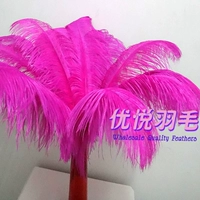 Роза красная