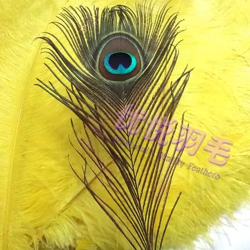 Импортированные чистые натуральные перья павлина 90-100 см дома украшение Diy Декоративная цветочная бутылка павлина волосы