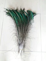 Волосы павлинового края 70-80 см