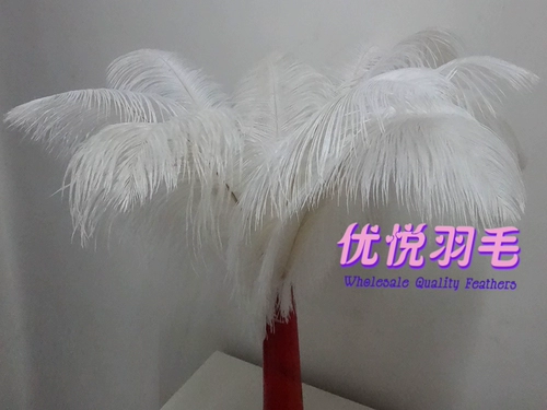 Импортный аксессуар, аксессуары, 45-50см, цветочное украшение