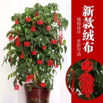 New Year's Spring Festival plant decoration bonsai ornaments indoor scene layout New Year's Day small lantern pendant